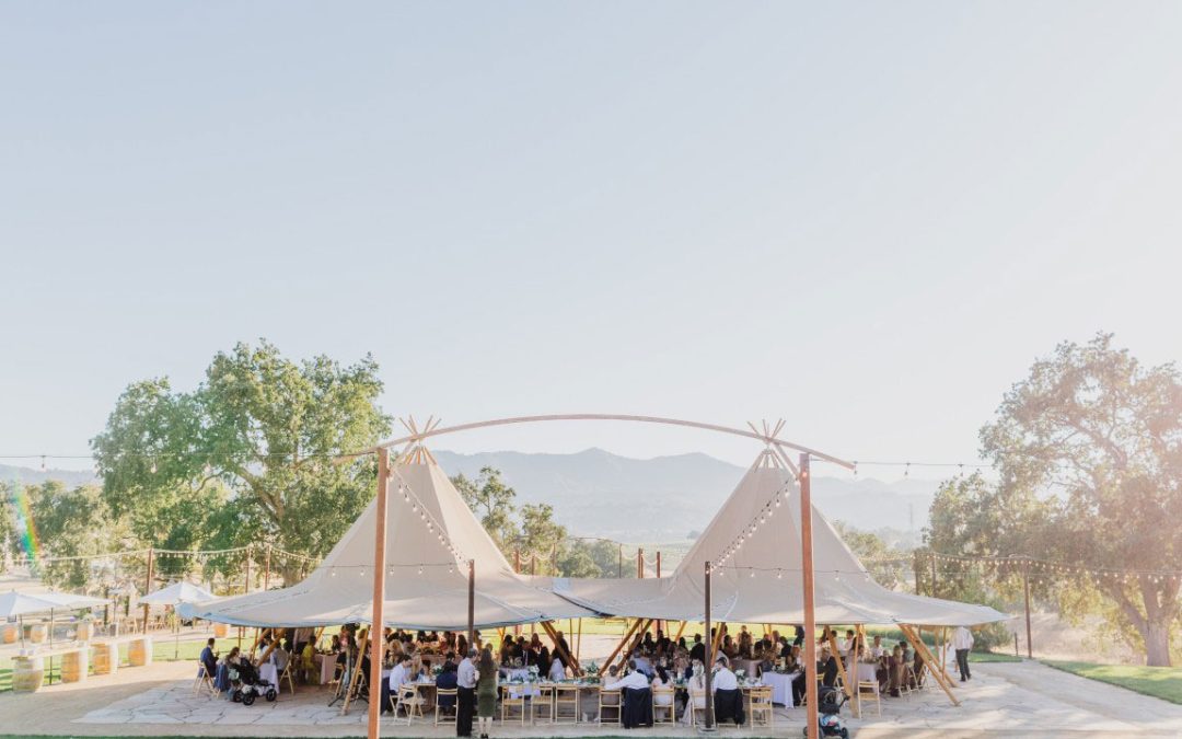 Why Tentipi Event Tents Stand Out: 35 Years of Craftsmanship, Reliability, and Style