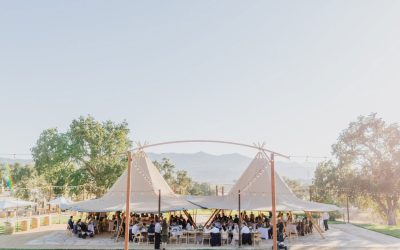 Why Tentipi Event Tents Stand Out: 35 Years of Craftsmanship, Reliability, and Style